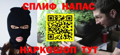 Альфа ПВП Кандалакша