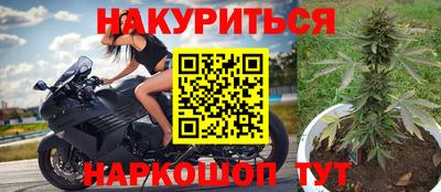 Альфа ПВП Кандалакша