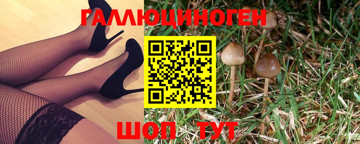 Барабинск  Псилоцибиновые грибы MAGIC MUSHROOMS  Вход с VPN  Псилоцибиновые грибы мицелий 