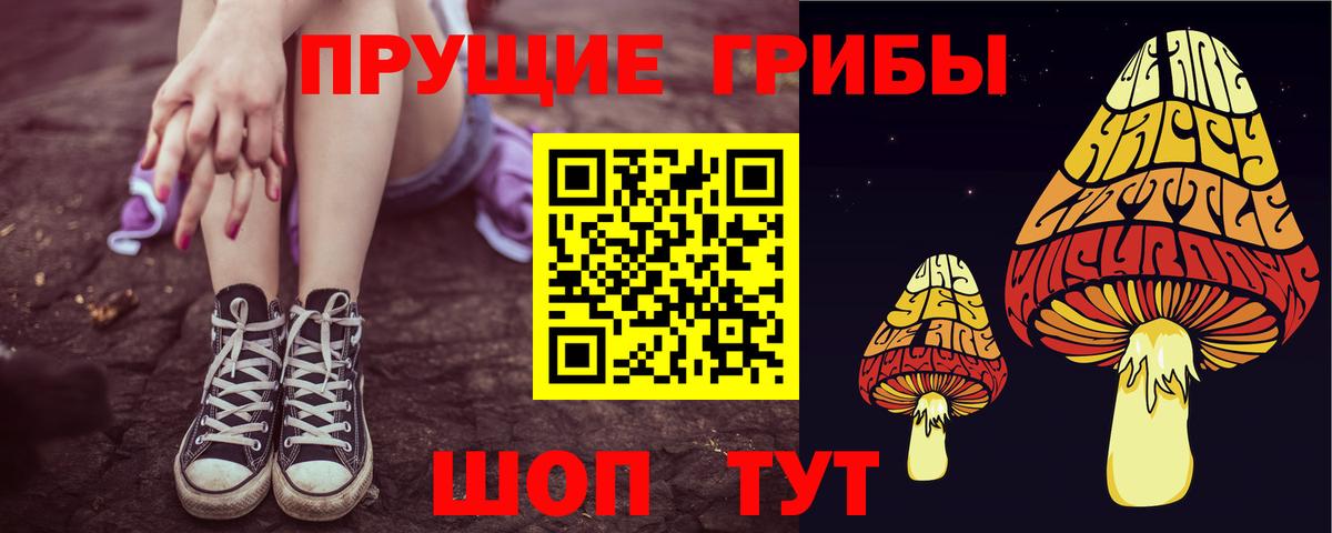 Псилоцибиновые грибы Psilocybine cubensis Барабинск